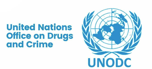 File:United nations office-on drugs and crime202412.png